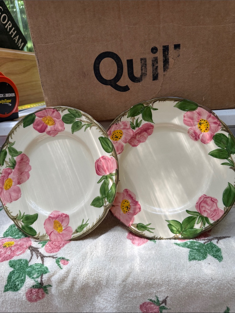 Desert Rose by Franciscan Dinner Plates with Pink Floral Green Leaves - Set of 2